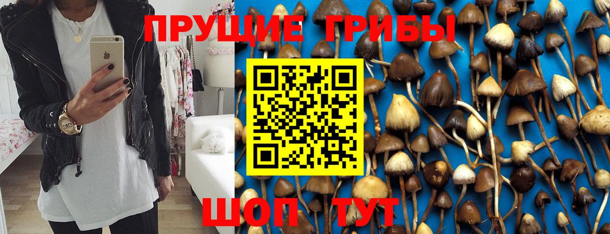 Галлюциногенные грибы мухоморы  Вход с VPN  Сосновоборск 